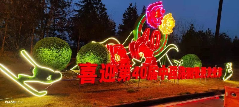 洛陽牡丹花會發(fā)光造型